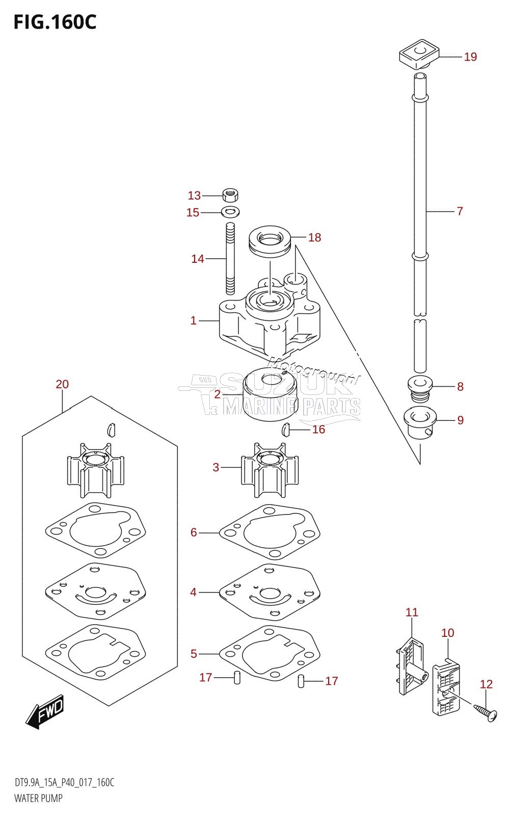 WATER PUMP (DT9.9A:P81)