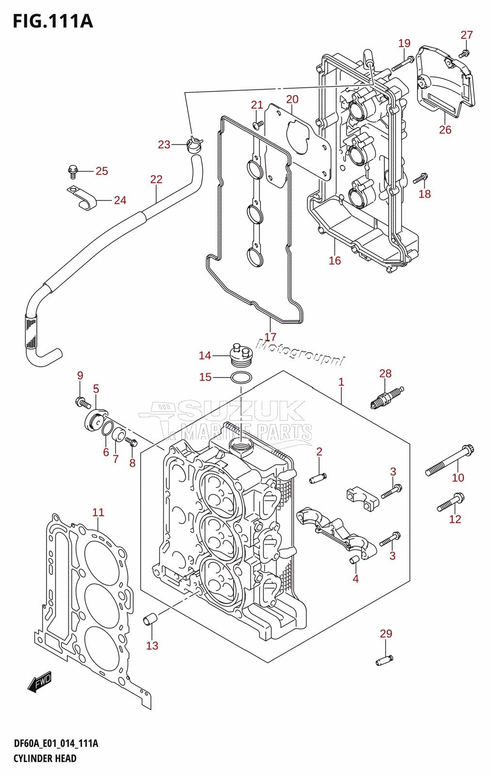 CYLINDER HEAD (DF40A:E01)