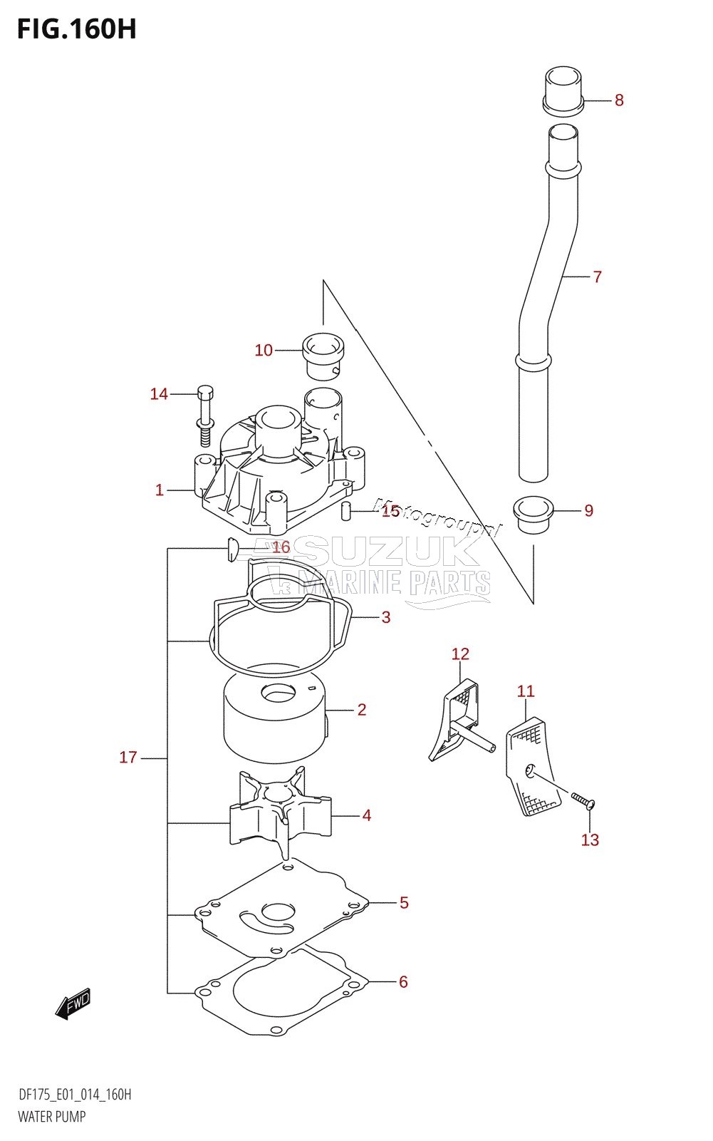 WATER PUMP (DF150ZG:E40)