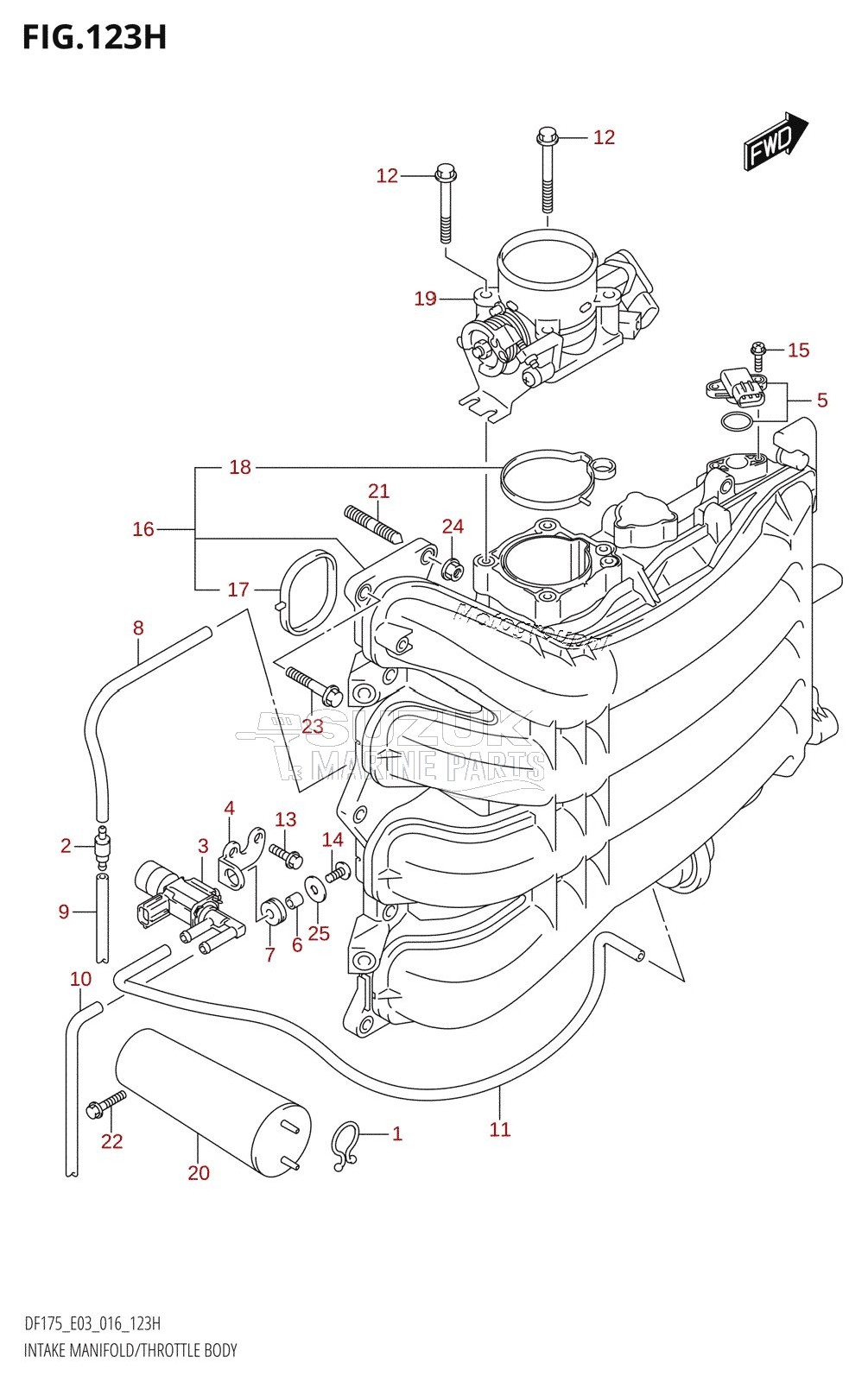 INTAKE MANIFOLD /​ THROTTLE BODY (DF175ZG:E03)