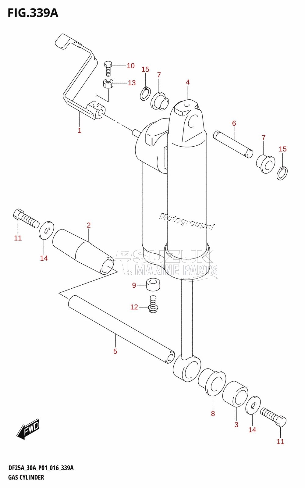 GAS CYLINDER (DF30AQ:P01)