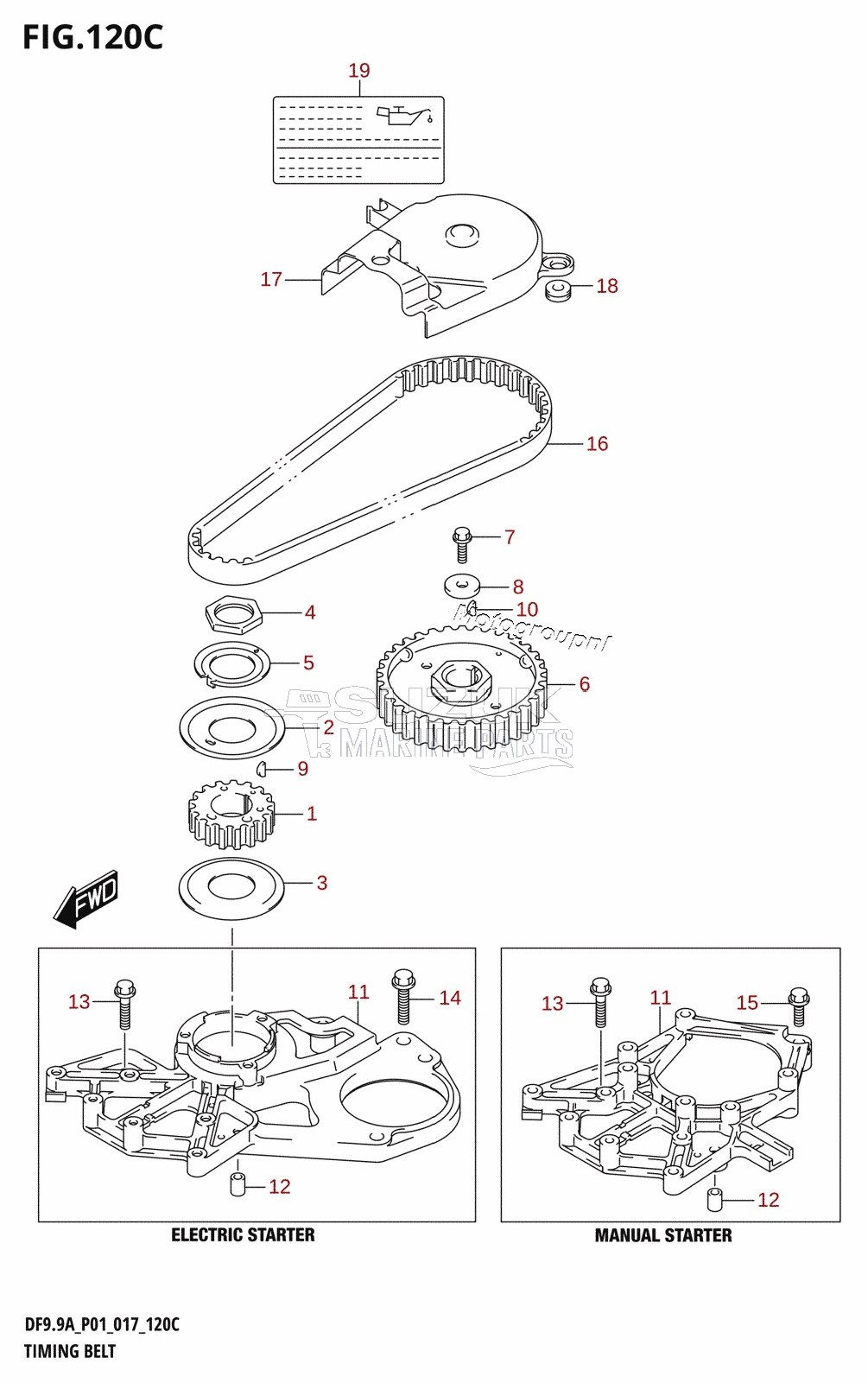 TIMING BELT (DF9.9A:P01)