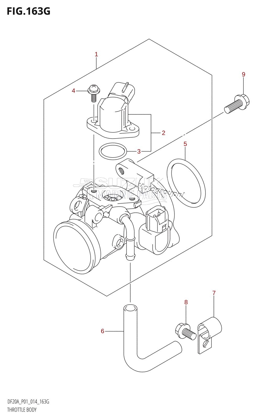 THROTTLE BODY (DF20A:P01)