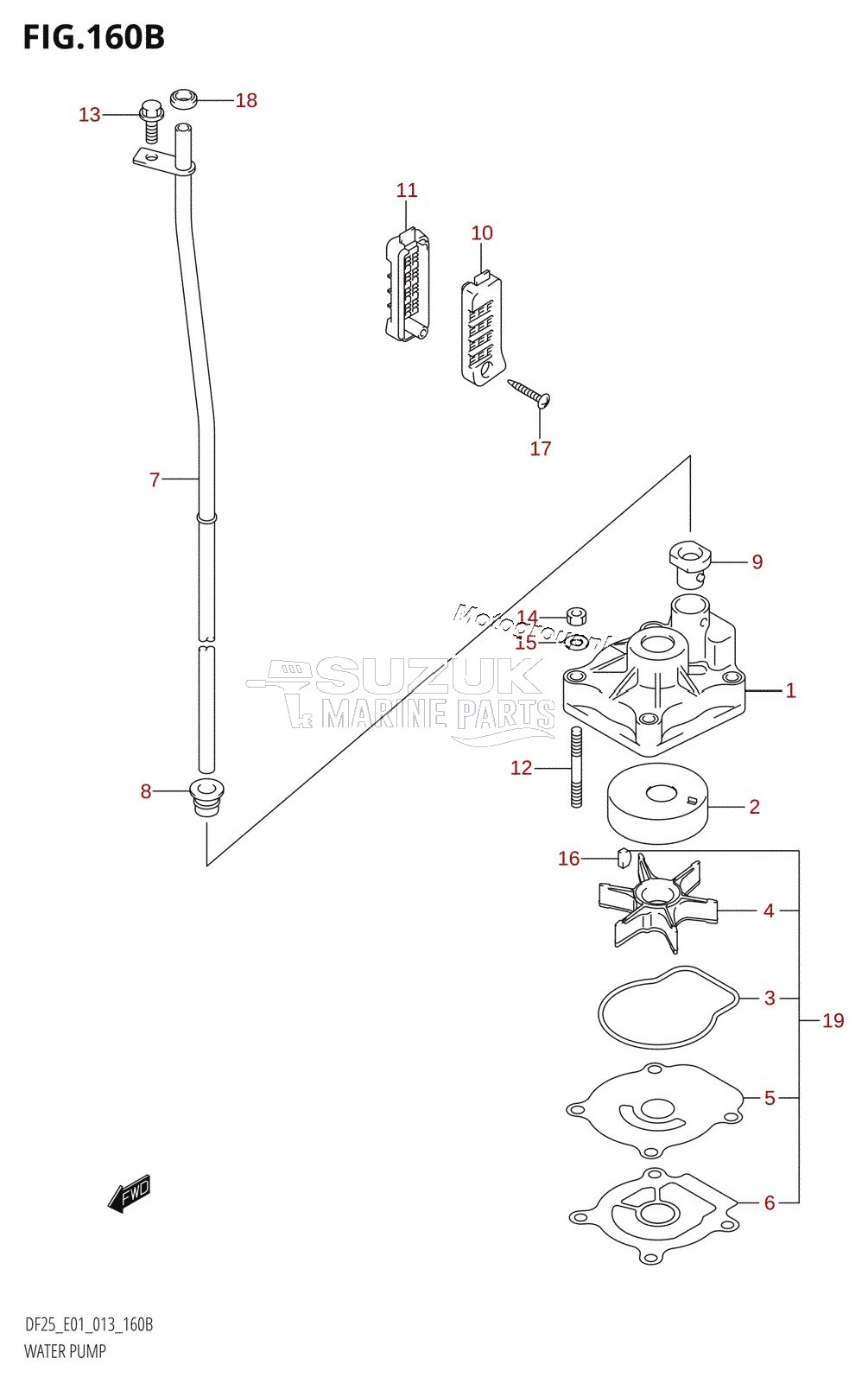 WATER PUMP (DF25R:E01)