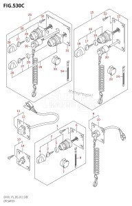 DF100 From 10002F-010001 (E03)  2010 drawing OPT:SWITCH (DF115Z:E03)