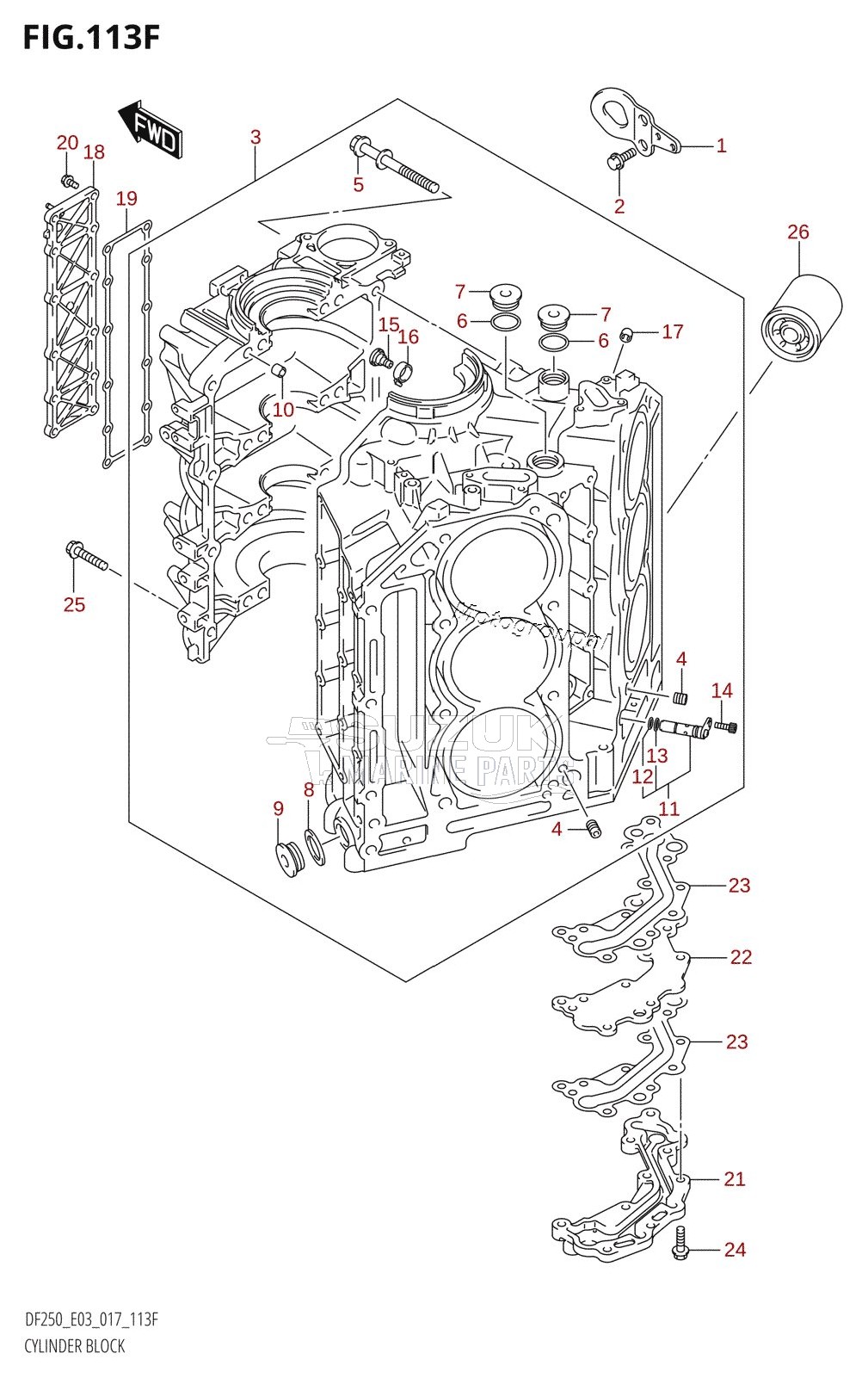 CYLINDER BLOCK (DF250Z:E03)