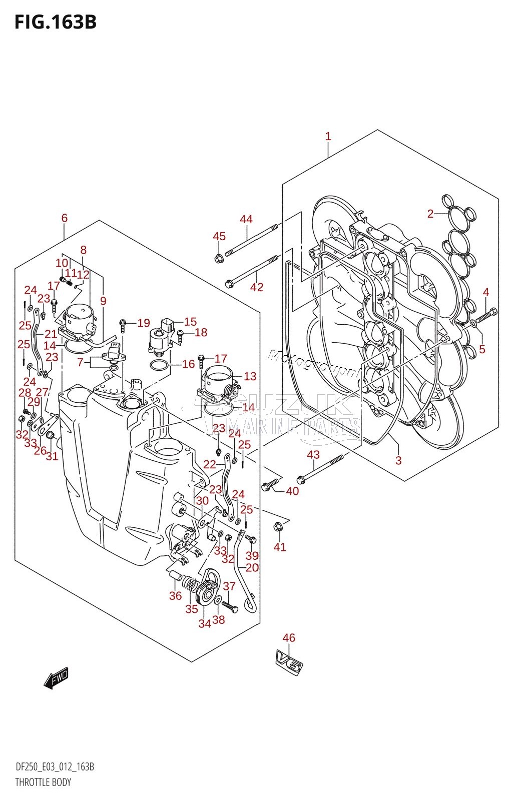 THROTTLE BODY (DF200Z:E03)