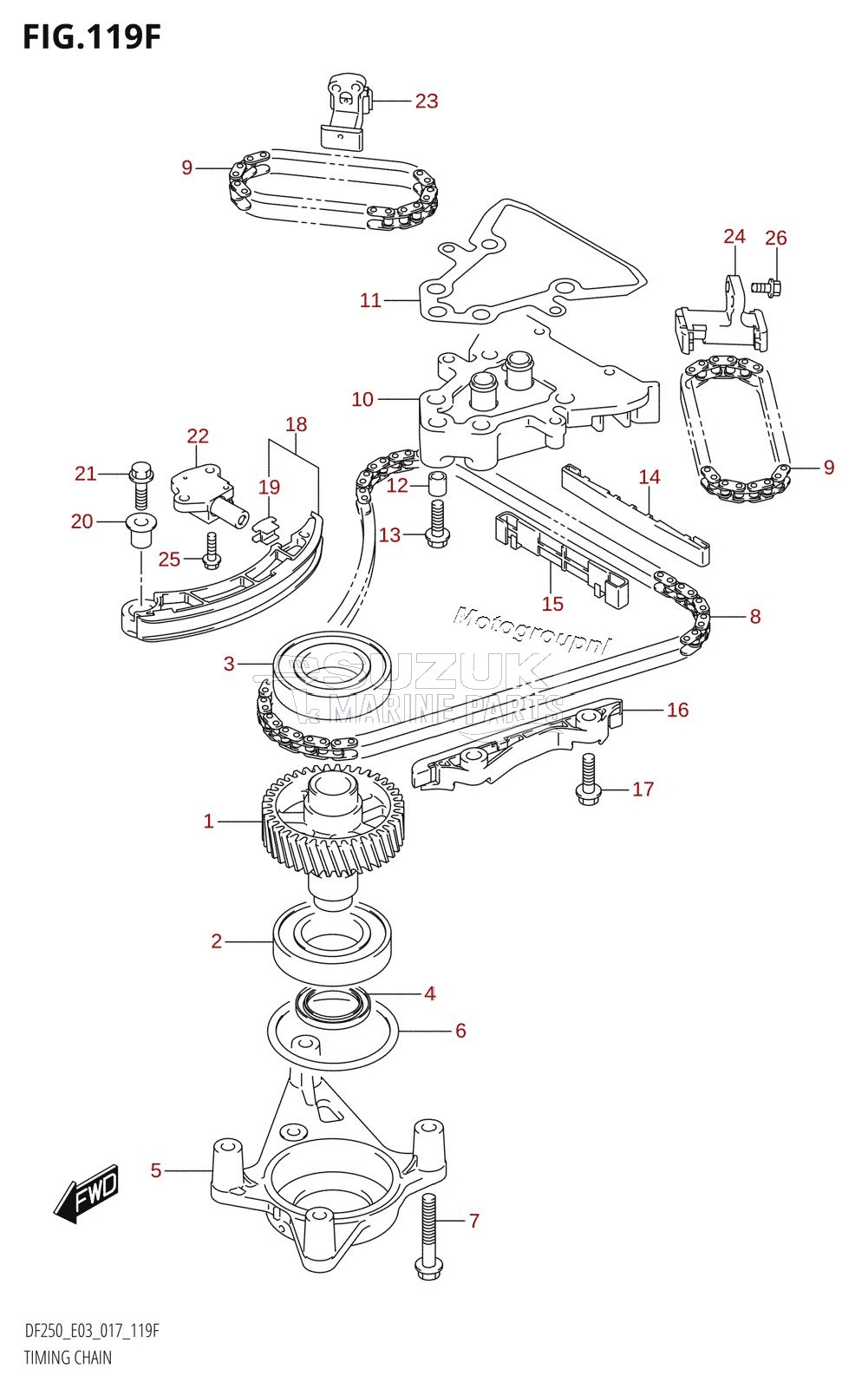 TIMING CHAIN (DF250Z:E03)