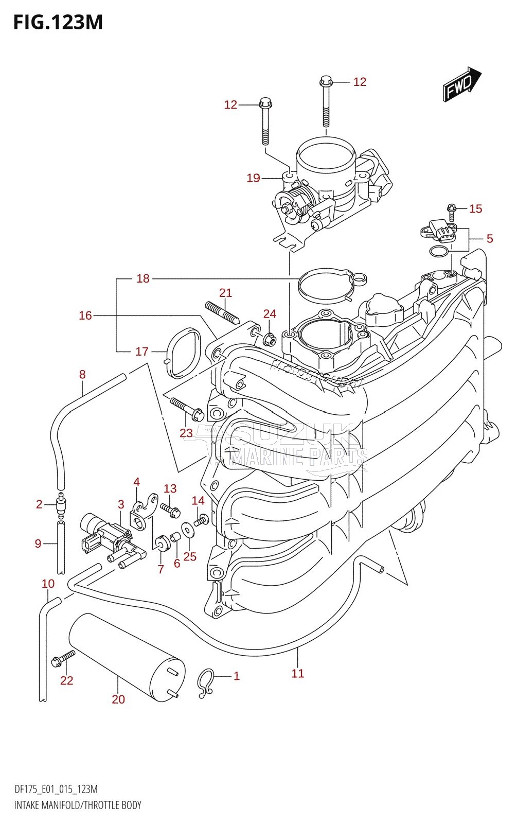 INTAKE MANIFOLD /​ THROTTLE BODY (DF175TG:E40)