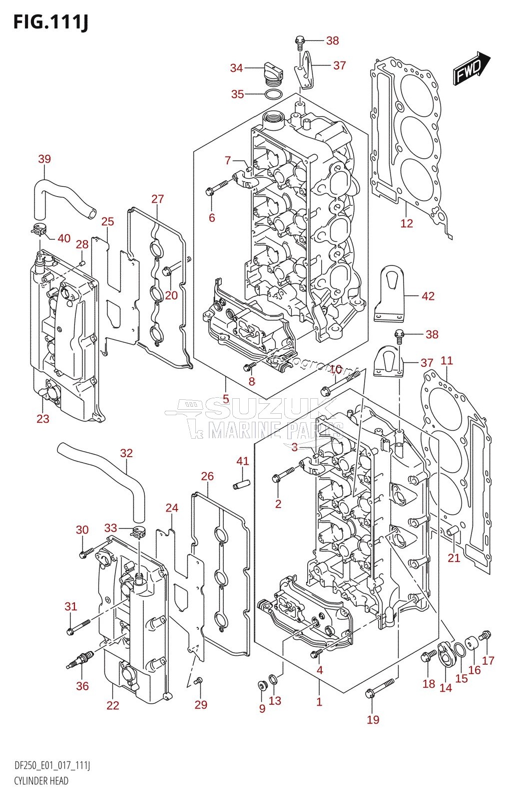 CYLINDER HEAD (DF250T:E01)