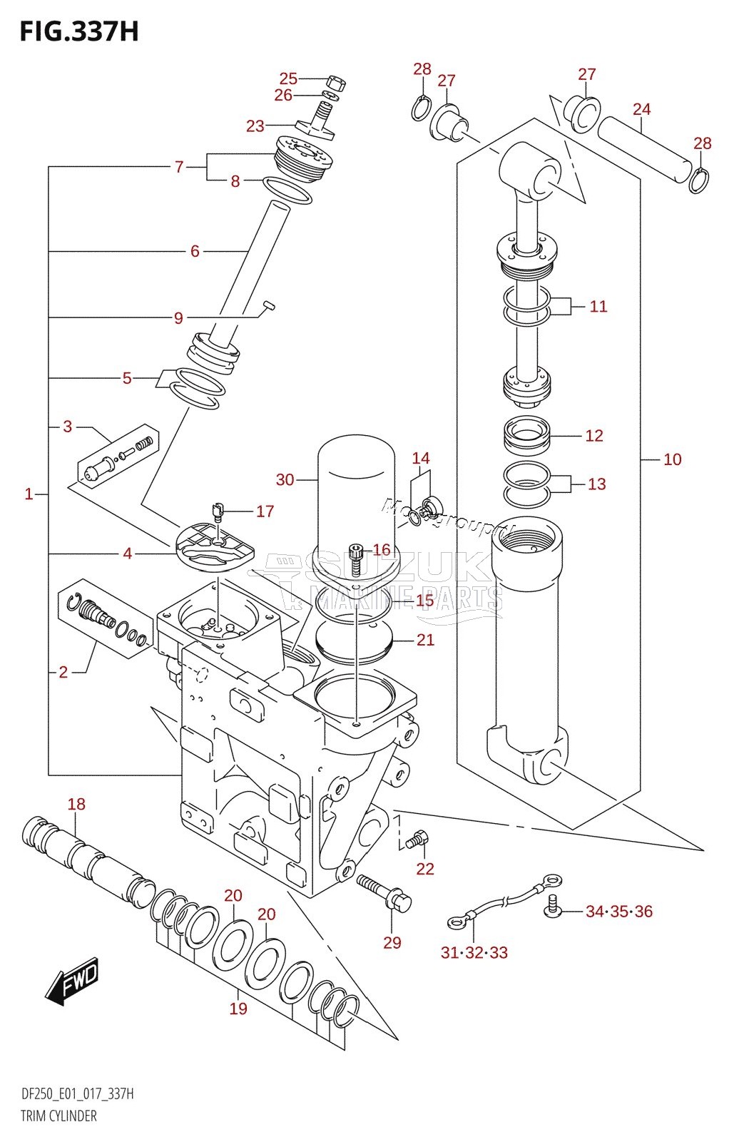 TRIM CYLINDER (DF225Z:E40:(X-TRANSOM,XX-TRANSOM))