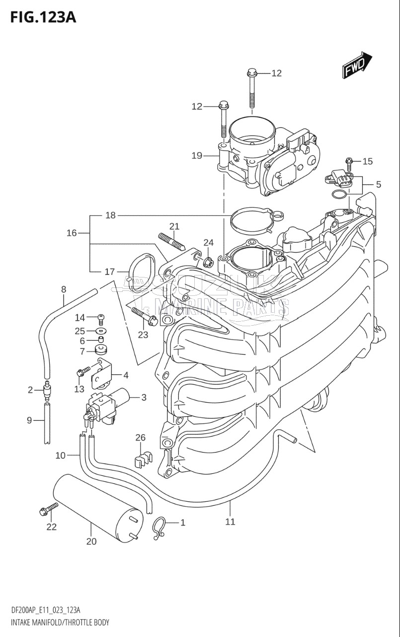 INTAKE MANIFOLD / THROTTLE BODY (020,021)