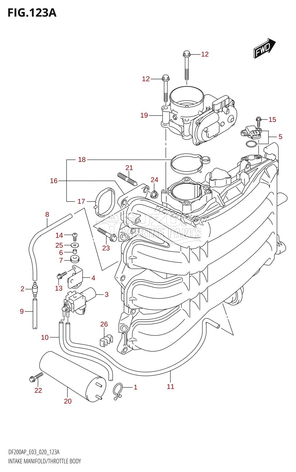 INTAKE MANIFOLD /​ THROTTLE BODY