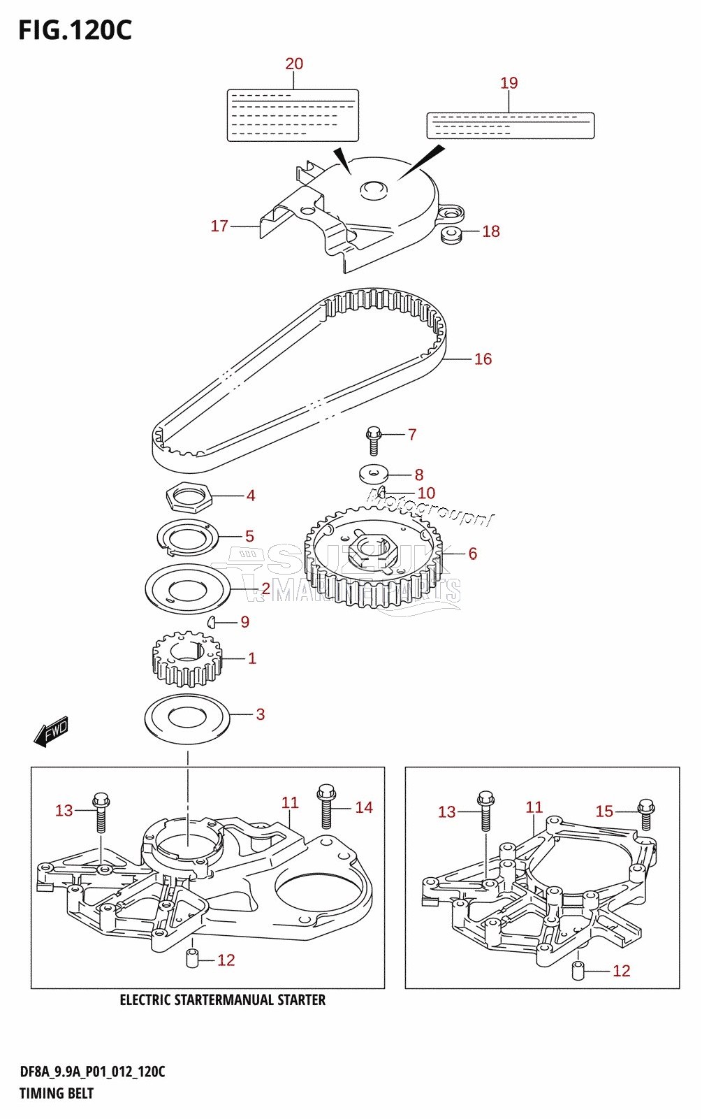 TIMING BELT (DF9.9A:P01)