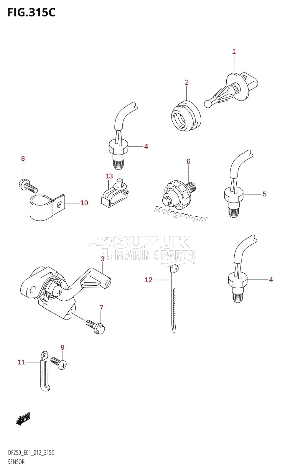 SENSOR (DF200Z:E01)