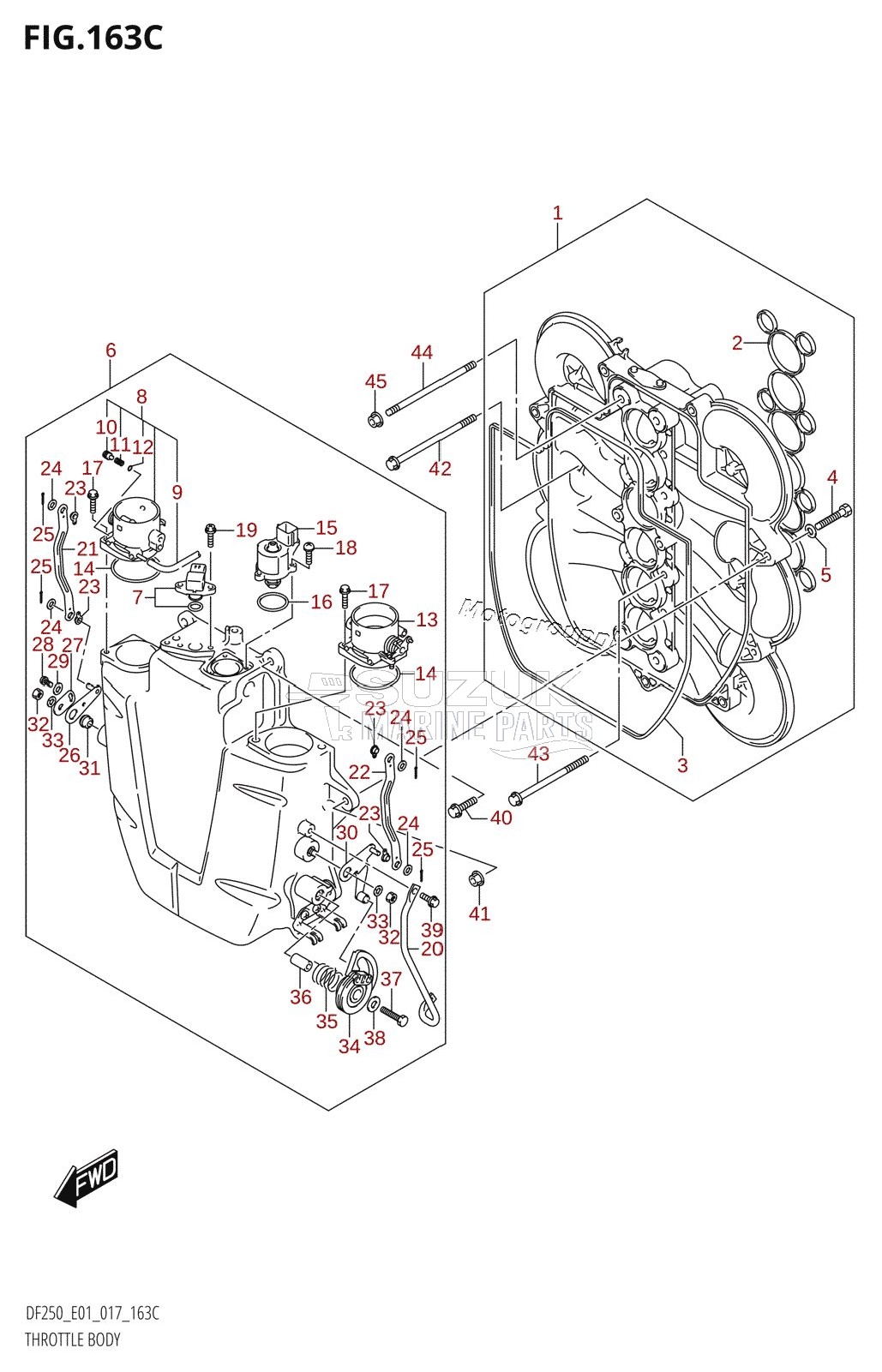 THROTTLE BODY (DF200Z:E01)