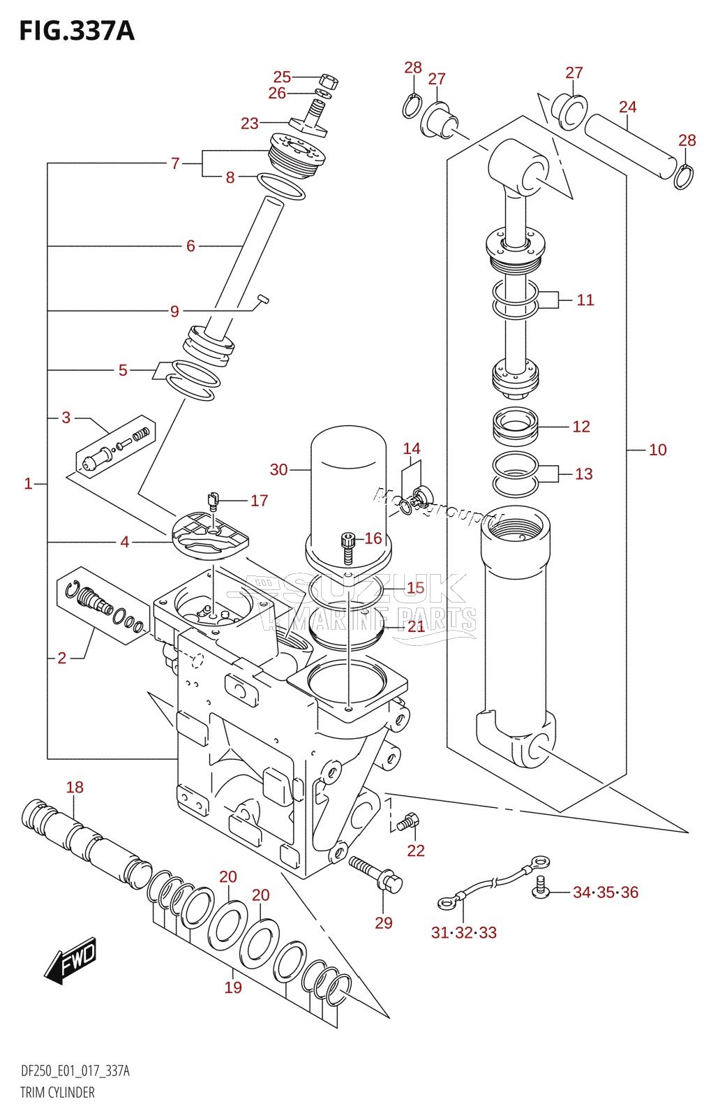 TRIM CYLINDER (DF200T:E40:X-TRANSOM)