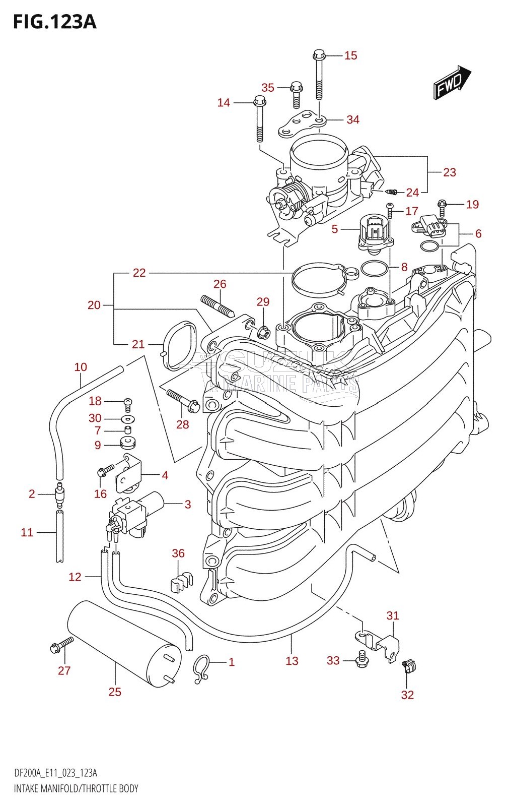 INTAKE MANIFOLD /​ THROTTLE BODY (020,021)