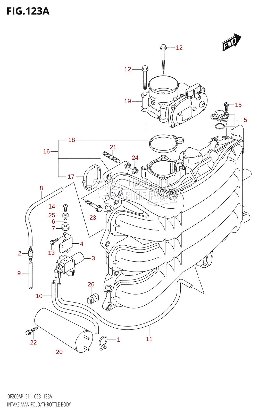 INTAKE MANIFOLD /​ THROTTLE BODY (020,021)