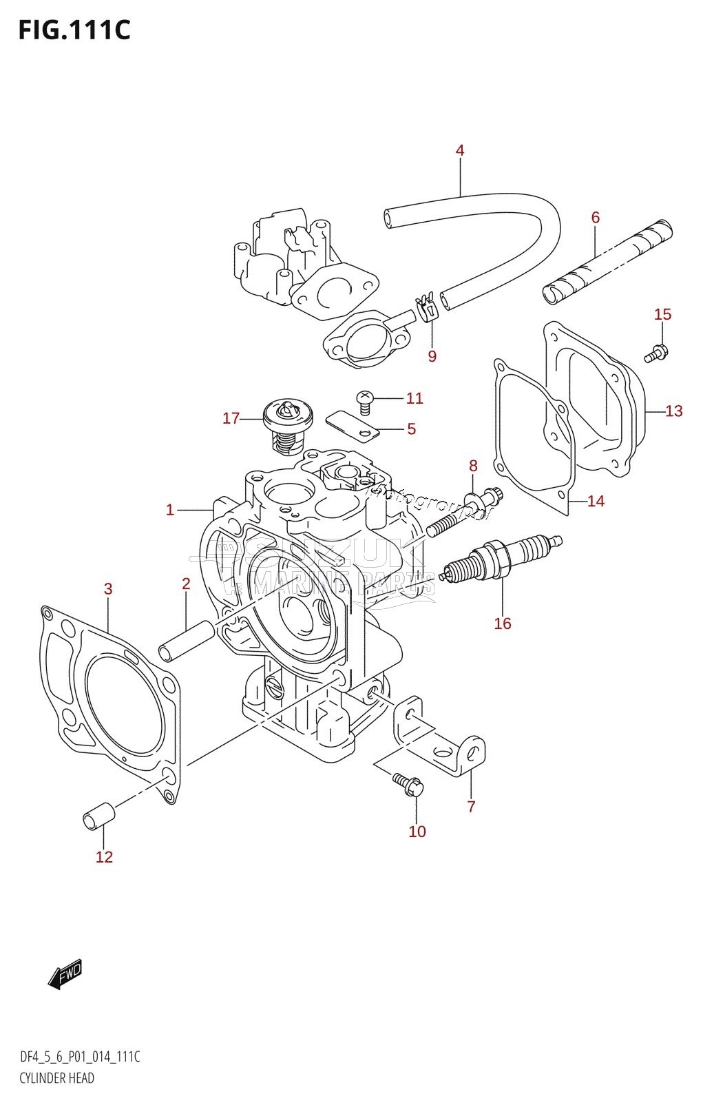 CYLINDER HEAD (DF6:P01)