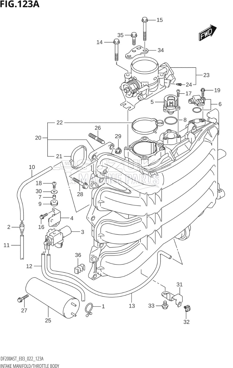 INTAKE MANIFOLD / THROTTLE BODY