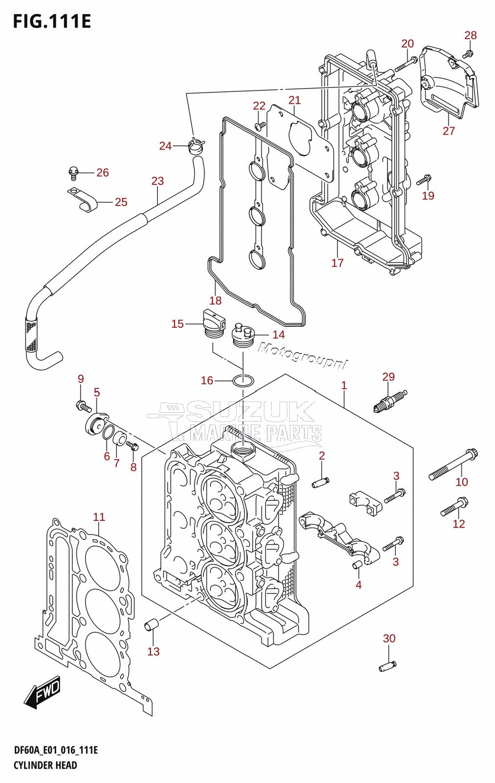 CYLINDER HEAD (DF50A:E01)