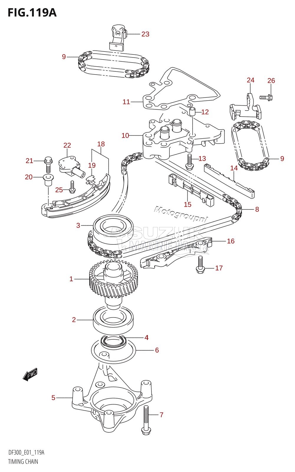 TIMING CHAIN