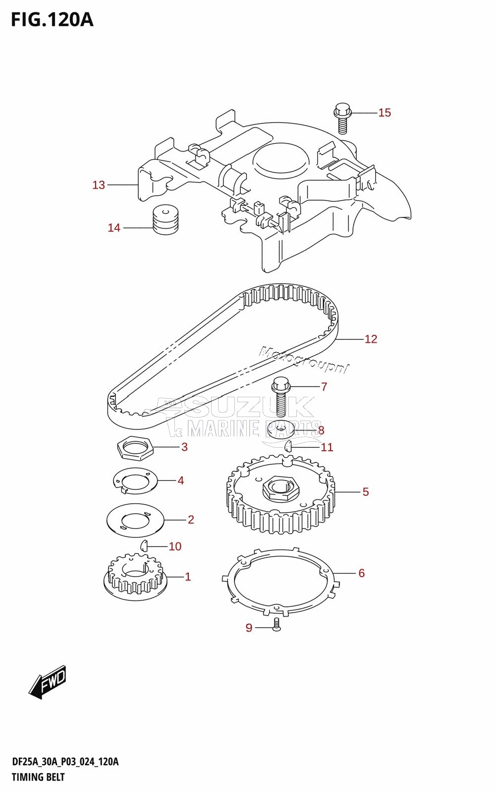 TIMING BELT