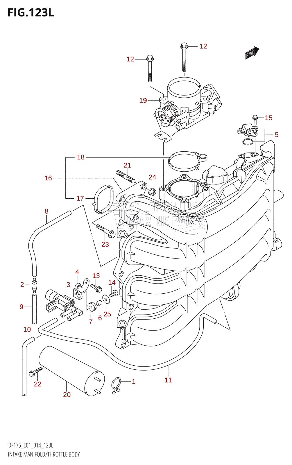 INTAKE MANIFOLD /​ THROTTLE BODY (DF175TG:E01)