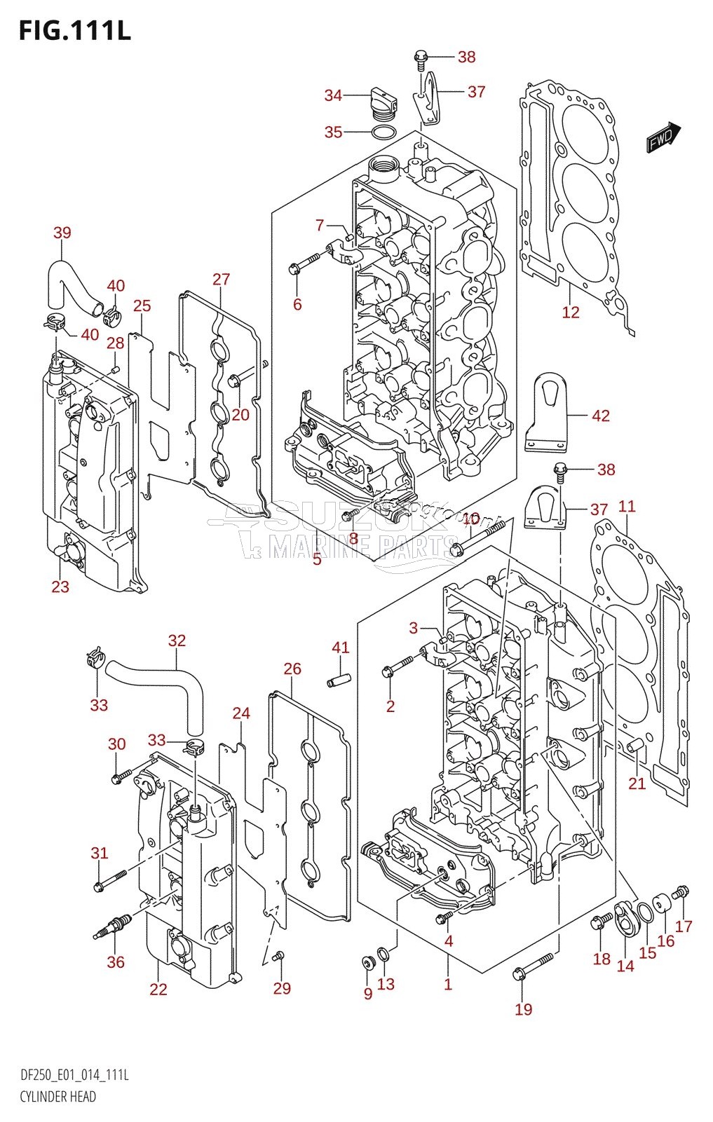 CYLINDER HEAD (DF250Z:E01)