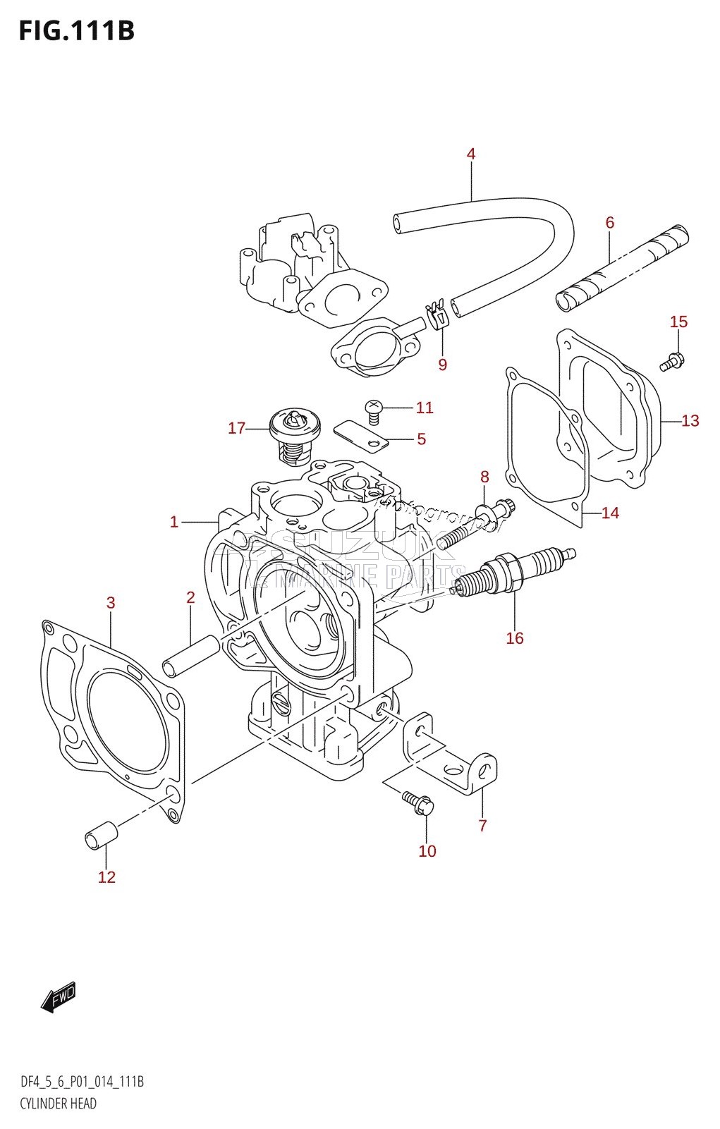 CYLINDER HEAD (DF5:P01)