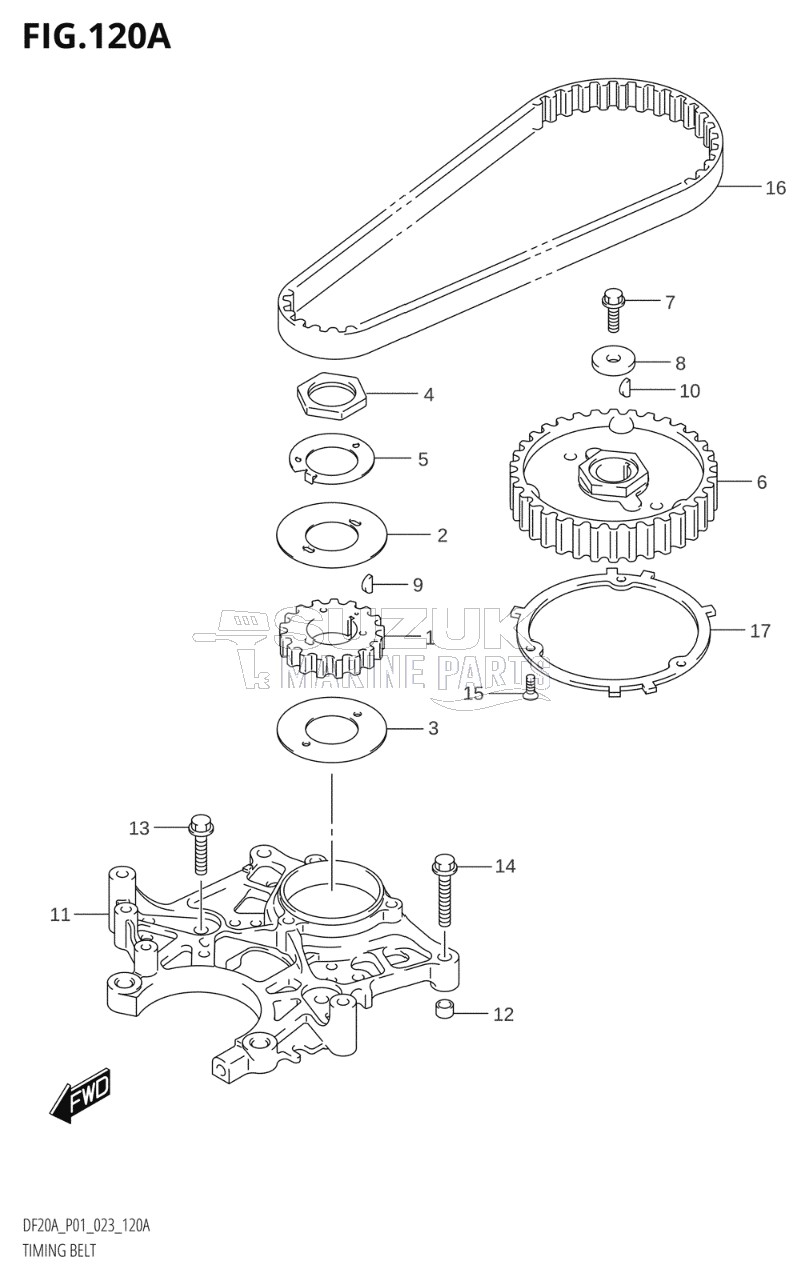 TIMING BELT