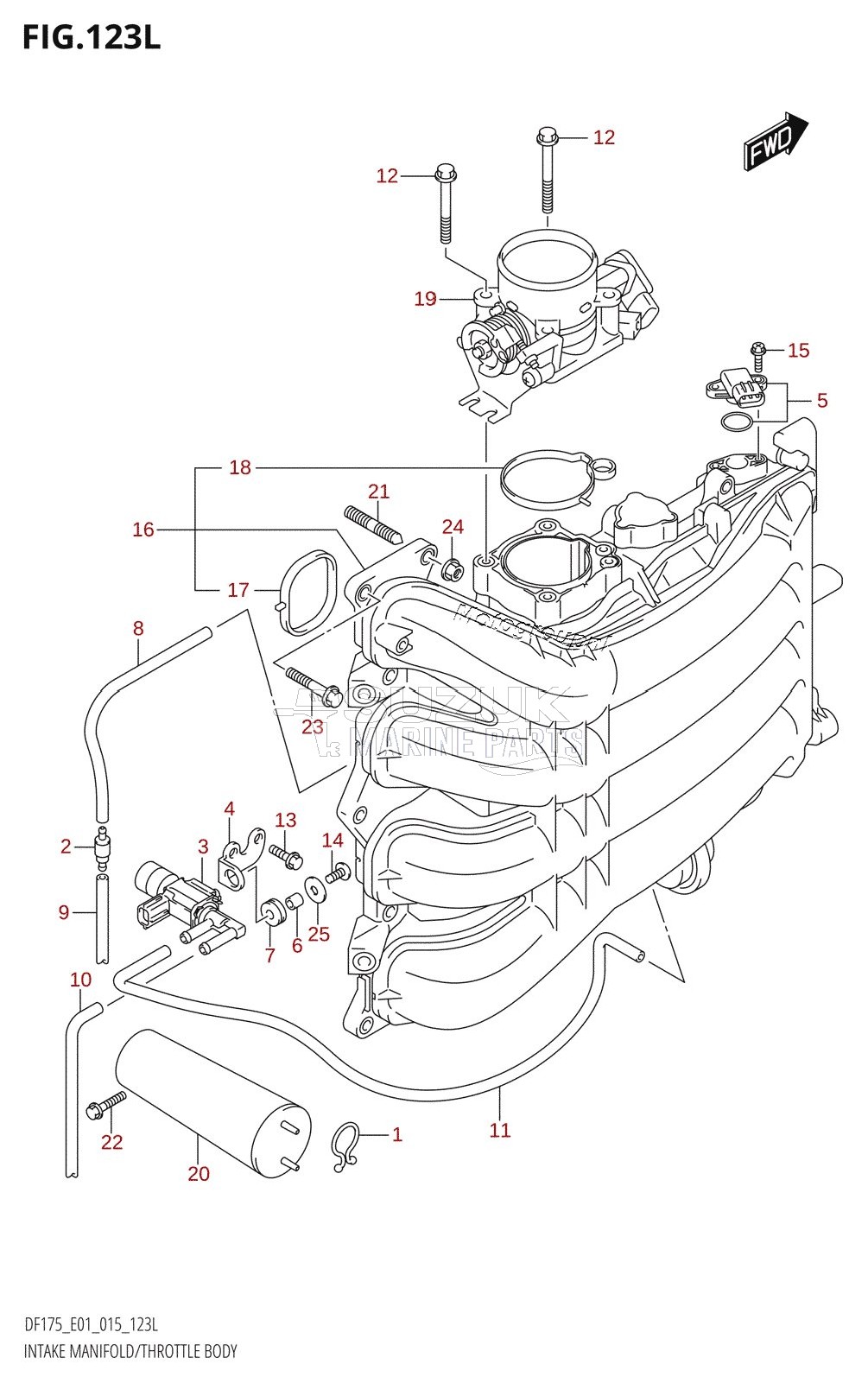 INTAKE MANIFOLD /​ THROTTLE BODY (DF175TG:E01)