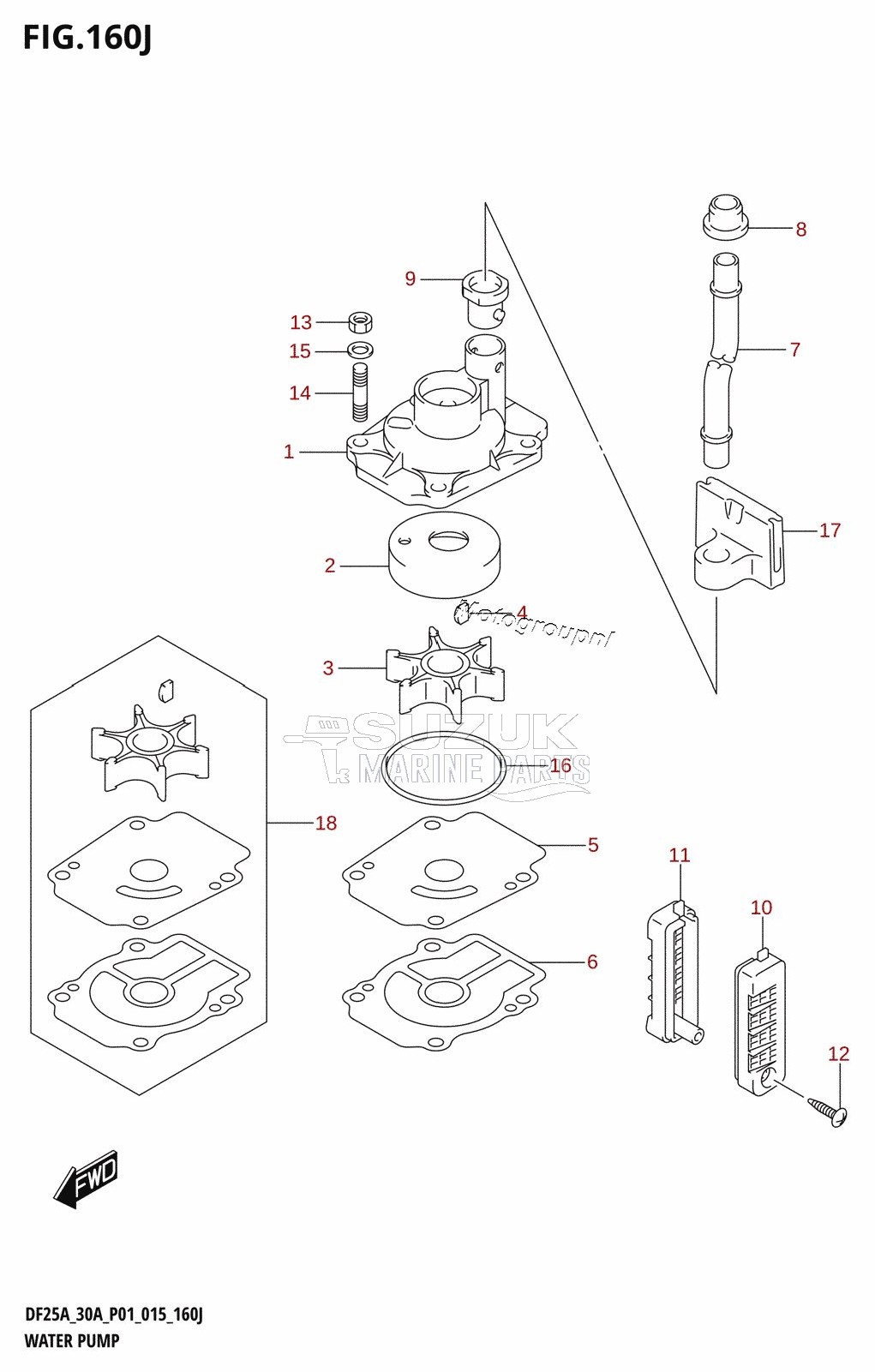 WATER PUMP (DF30AQ:P01)