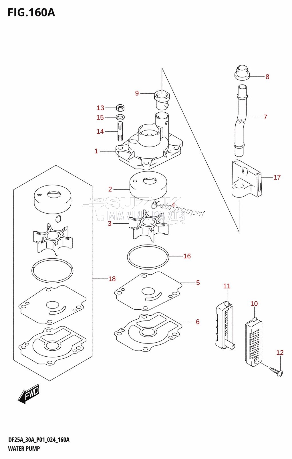 WATER PUMP (DF25A,DF25AT,DF30AQ,DF30AR,DF30AT,DF30ATH)