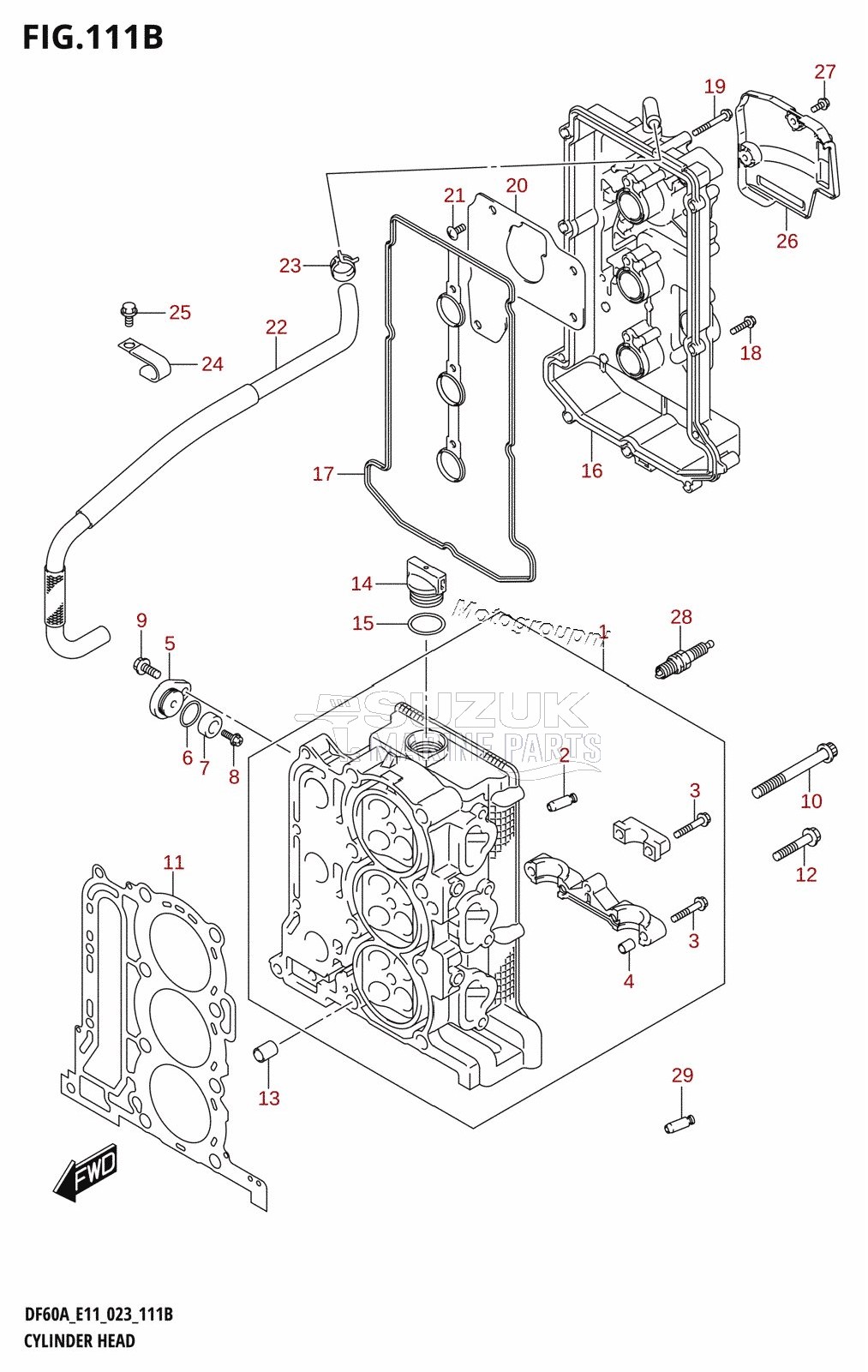 CYLINDER HEAD ((020,021):(DF40AST,DF60A,DF60AQH,DF60ATH,DF60AVT,DF40ASVT,DF60AVTH))