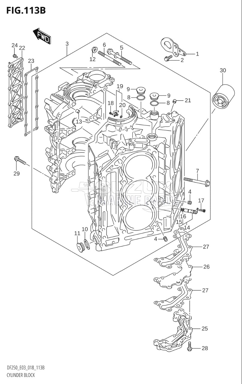 CYLINDER BLOCK (DF250ST)