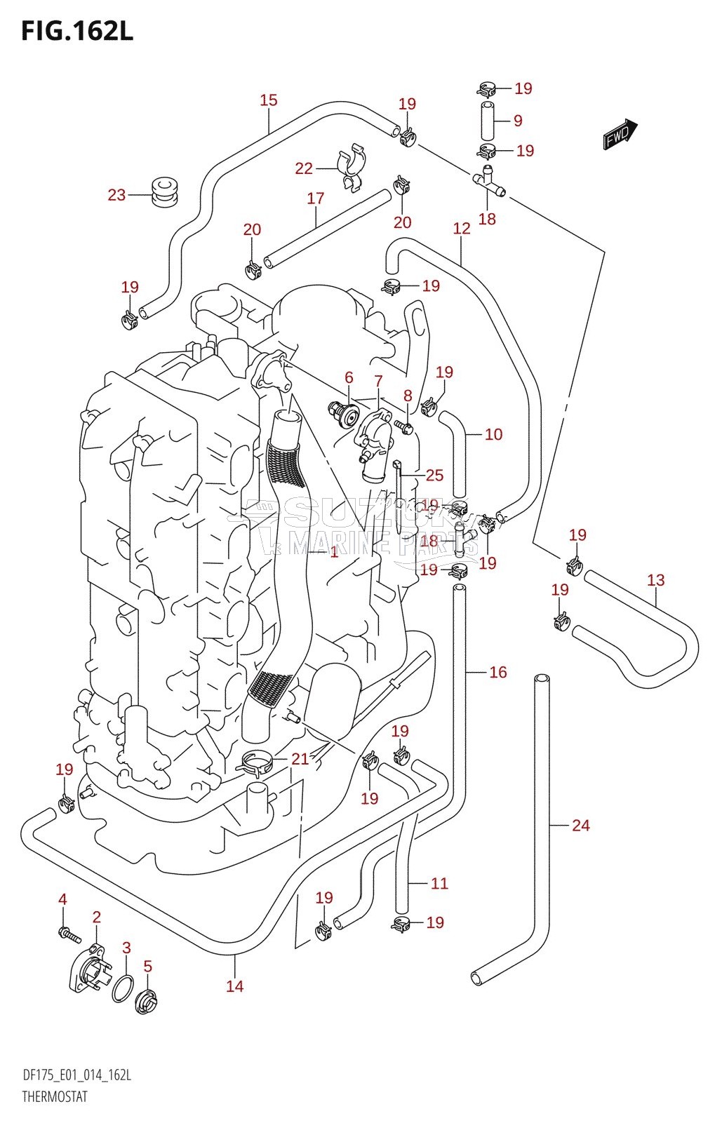 THERMOSTAT (DF175TG:E01)