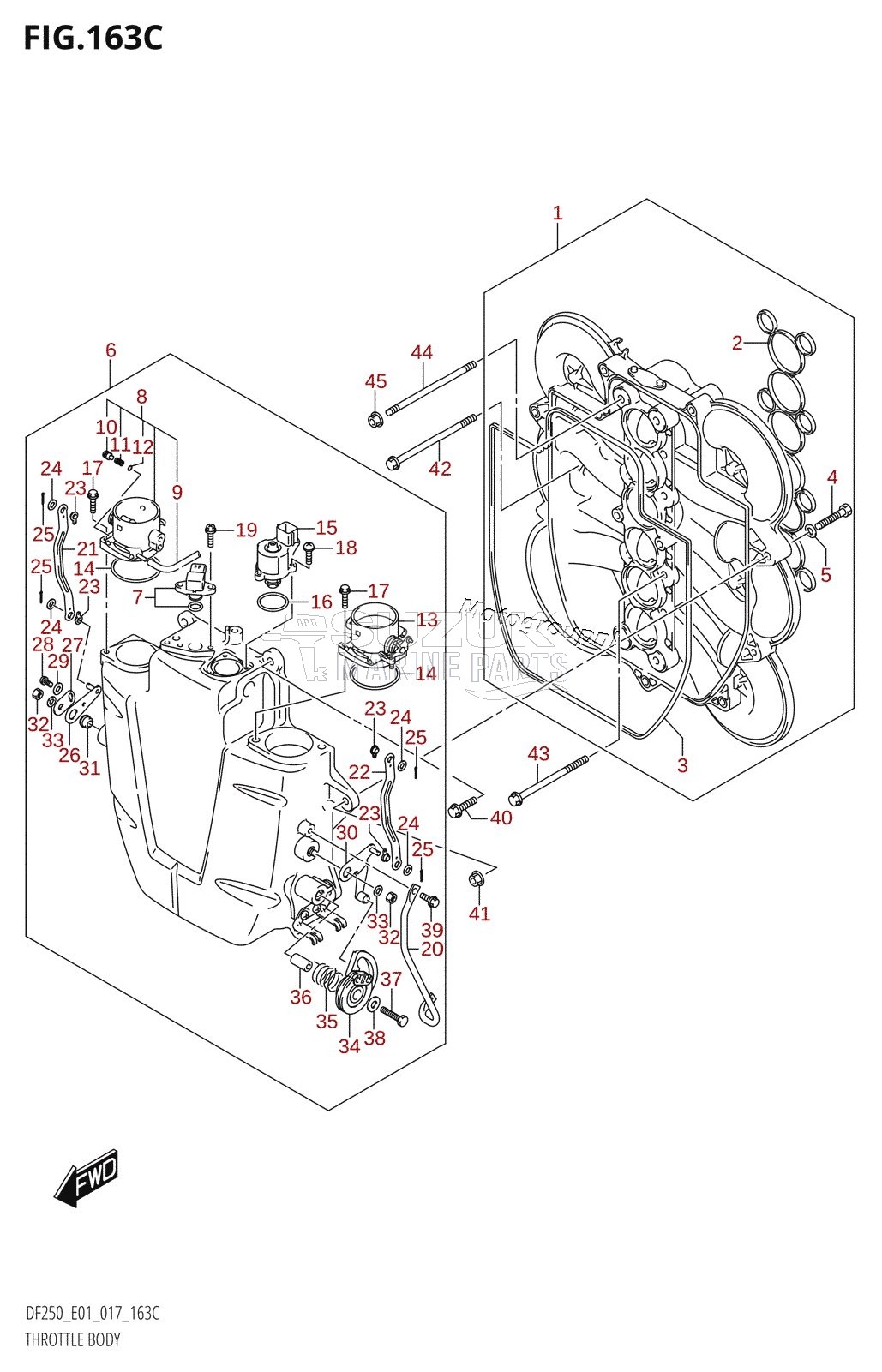 THROTTLE BODY (DF200Z:E01)