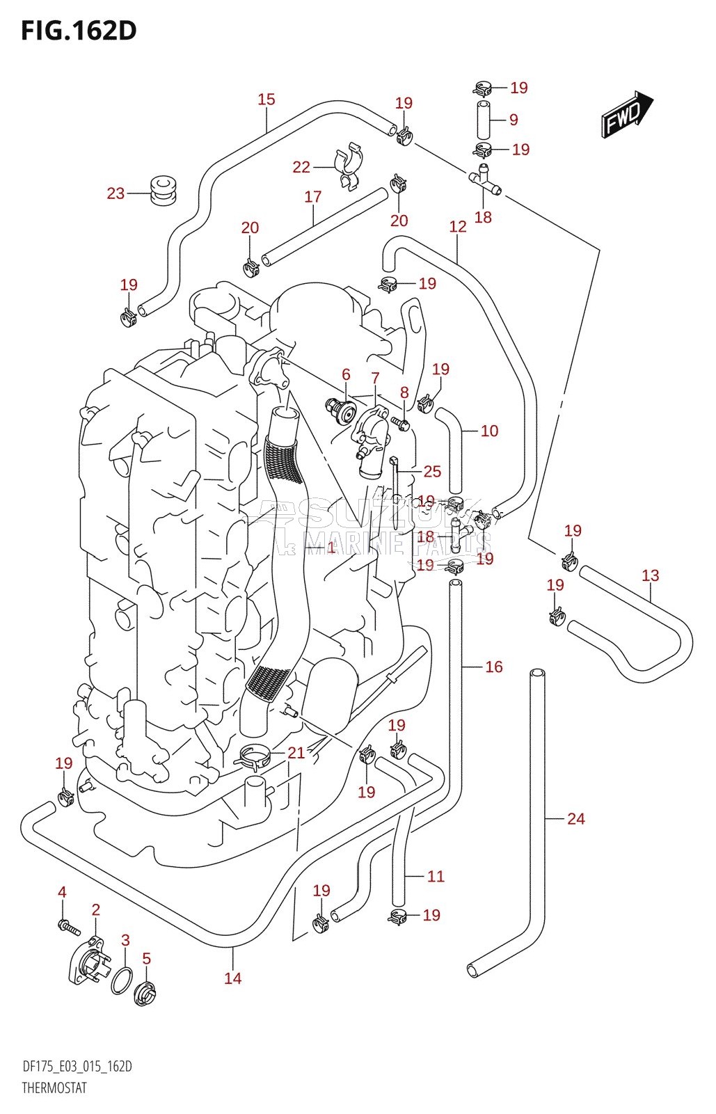 THERMOSTAT (DF150ZG:E03)