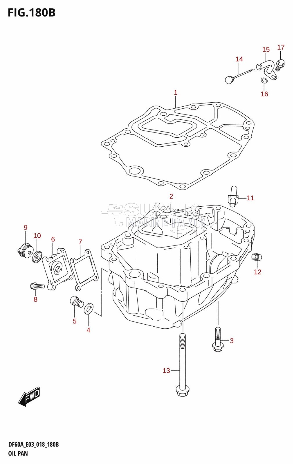 OIL PAN (DF50AVT,DF60AVT)