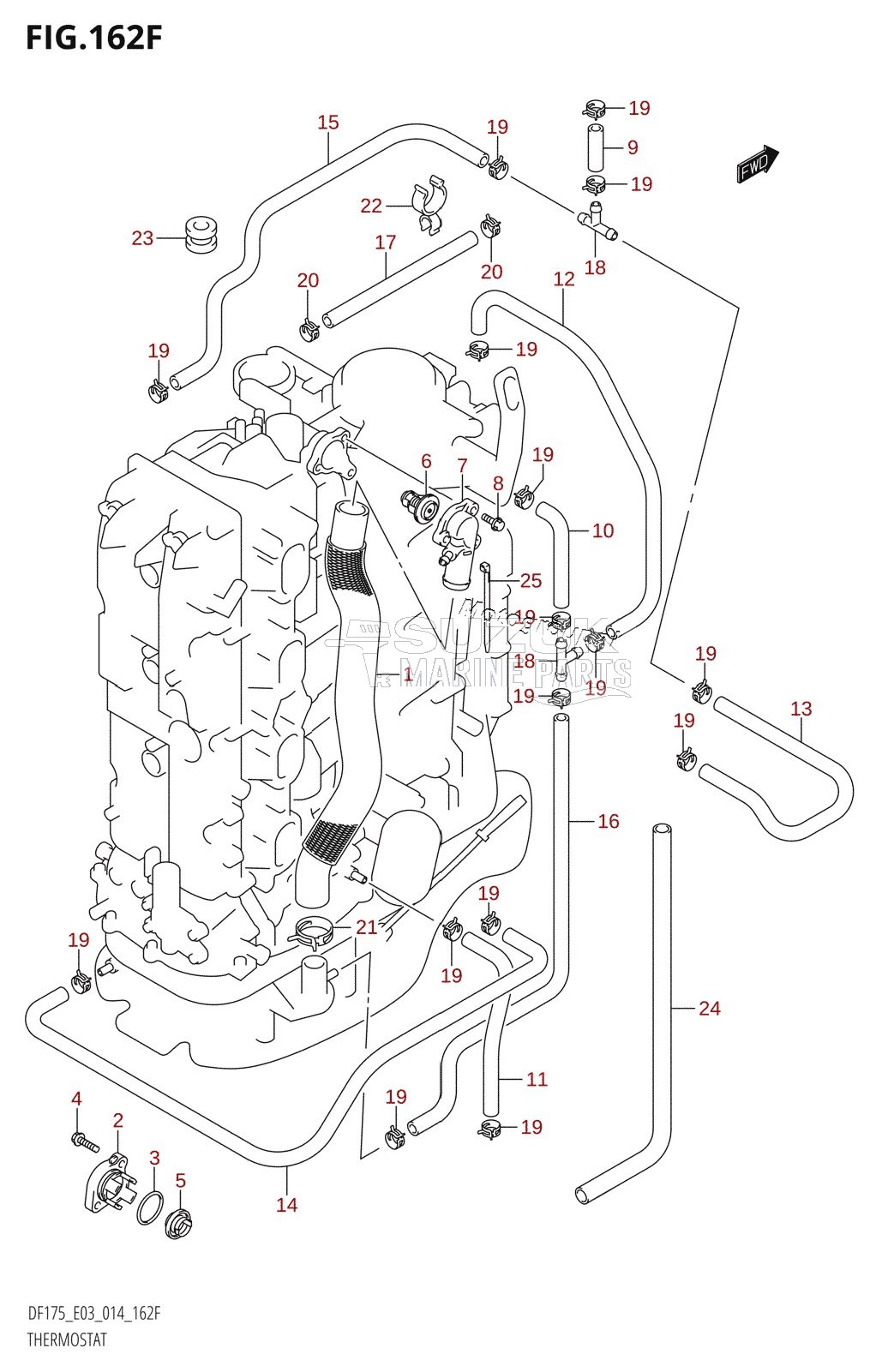 THERMOSTAT (DF175TG:E03)