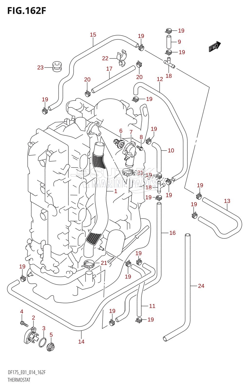 THERMOSTAT (DF150Z:E40)