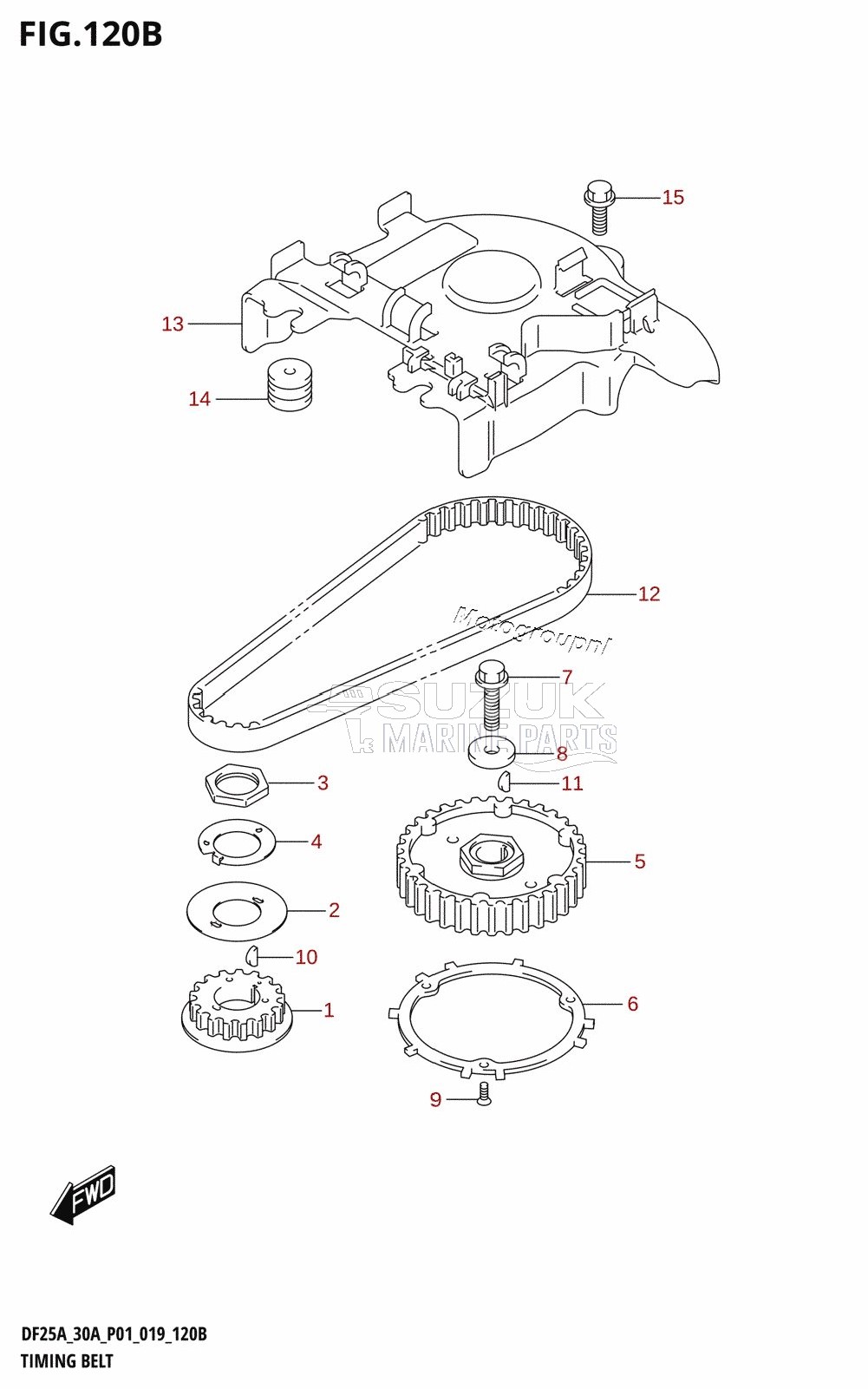 TIMING BELT (DF30A,DF30AR,DF30AT,DF30ATH,DF30AQ)