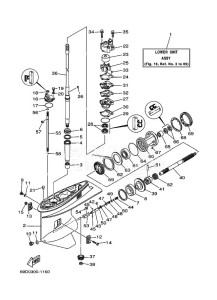 E60HMHDL drawing LOWER-CASING-x-DRIVE-1