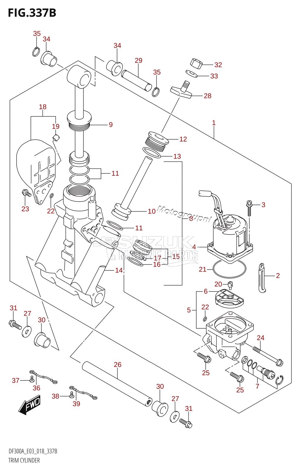 TRIM CYLINDER (L-TRANSOM)