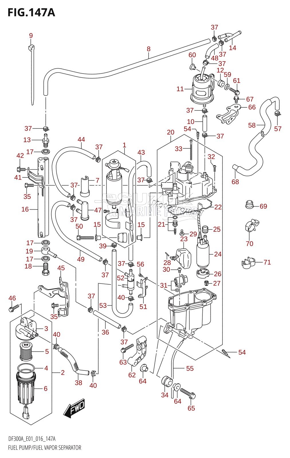 FUEL PUMP /​ FUEL VAPOR SEPARATOR (DF300A:E01)