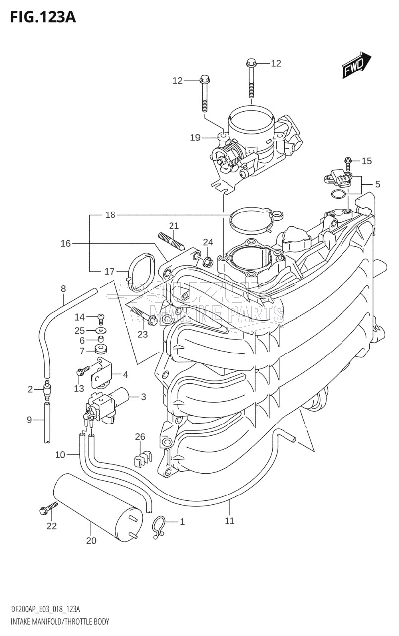 INTAKE MANIFOLD / THROTTLE BODY