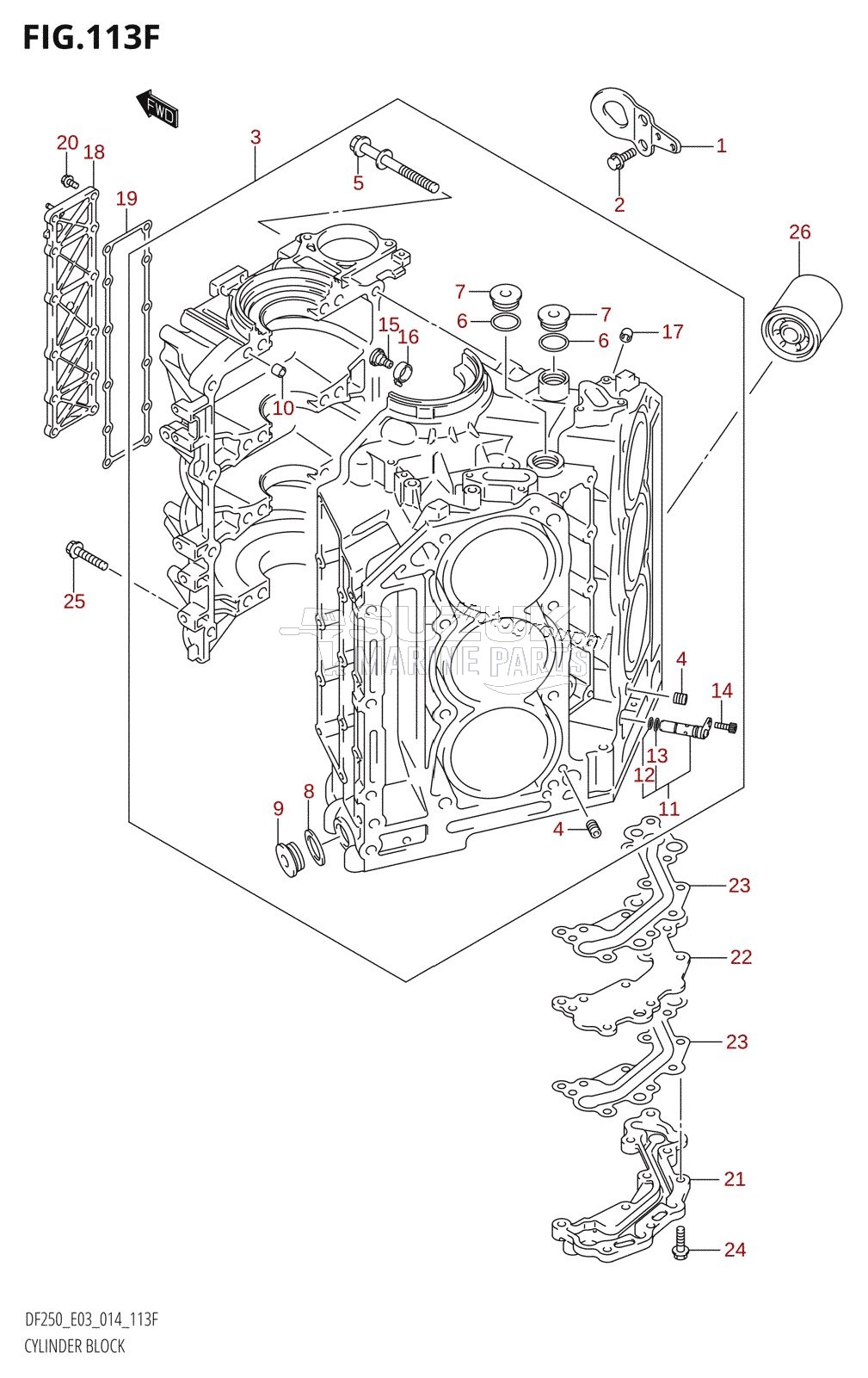 CYLINDER BLOCK (DF250Z:E03)