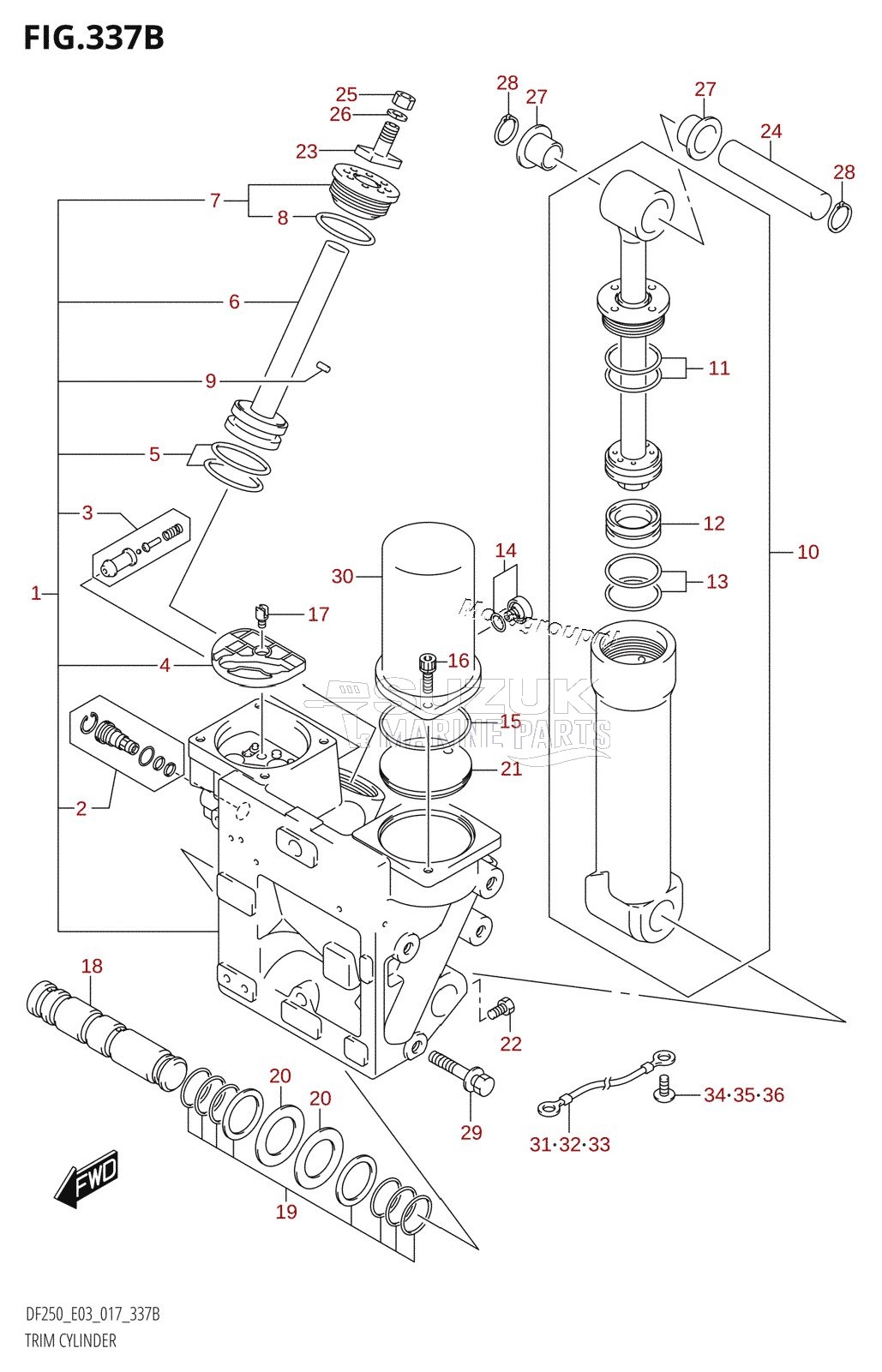 TRIM CYLINDER (DF200Z:E03:X-TRANSOM)